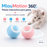 MiauMotion – Pelota Interactiva Automática para Gatos