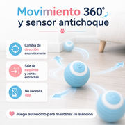 MiauMotion – Pelota Interactiva Automática para Gatos